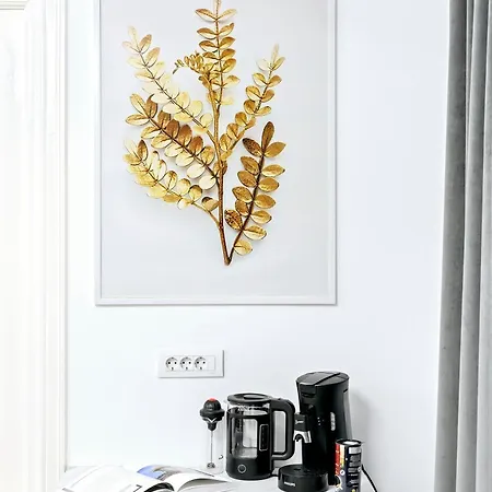 For Rent With Garden - High Ceilings Free Park * Bukarest