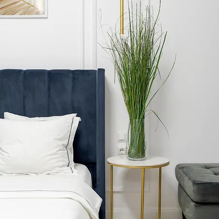 For Rent With Garden - High Ceilings - Free Park -invoice At Request Βίλα Βουκουρέστι