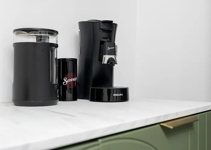 Downtown Private Garden Free Park Bucarest