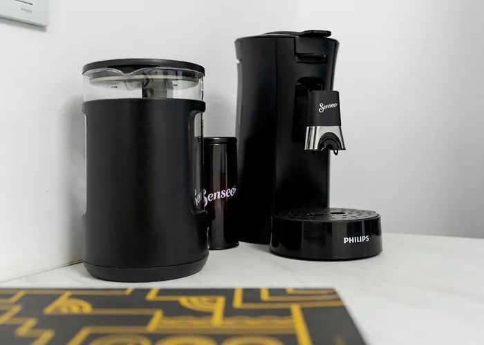 For Rent With Garden - High Ceilings - Free Park -invoice At Request ヴィラ ブカレスト